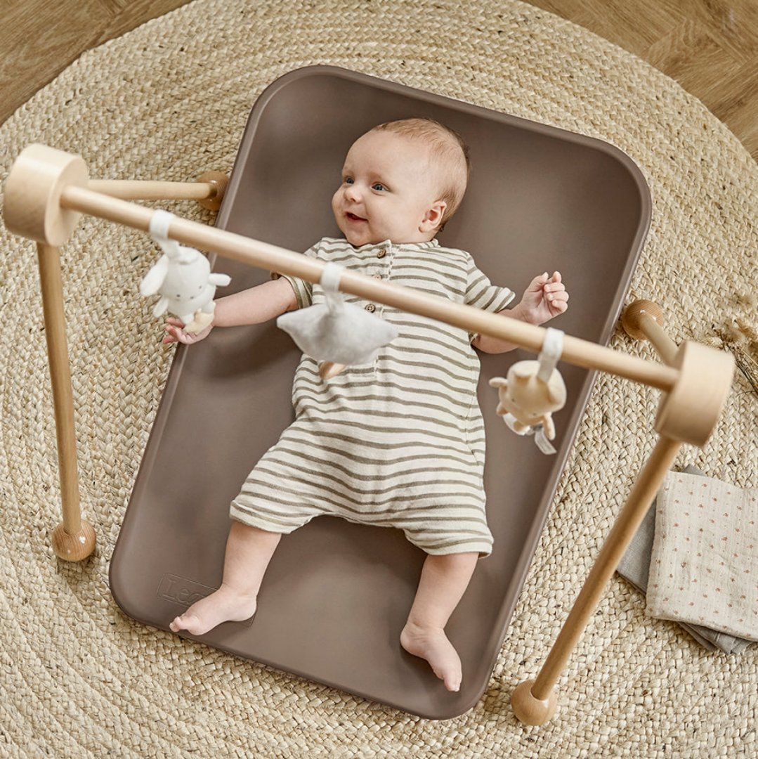 T233 Jabadabado - BabyGym Wood Nature