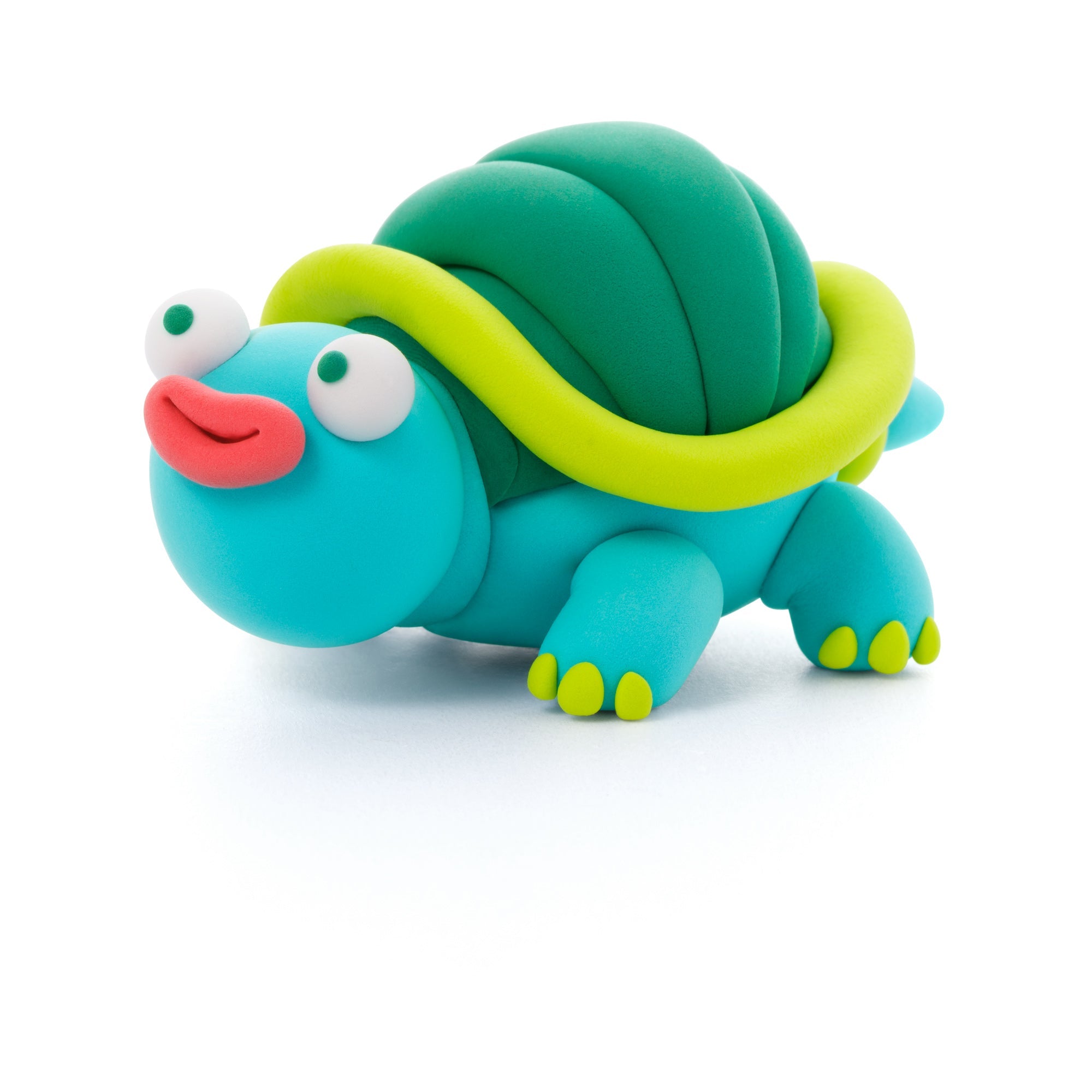 cute turtle